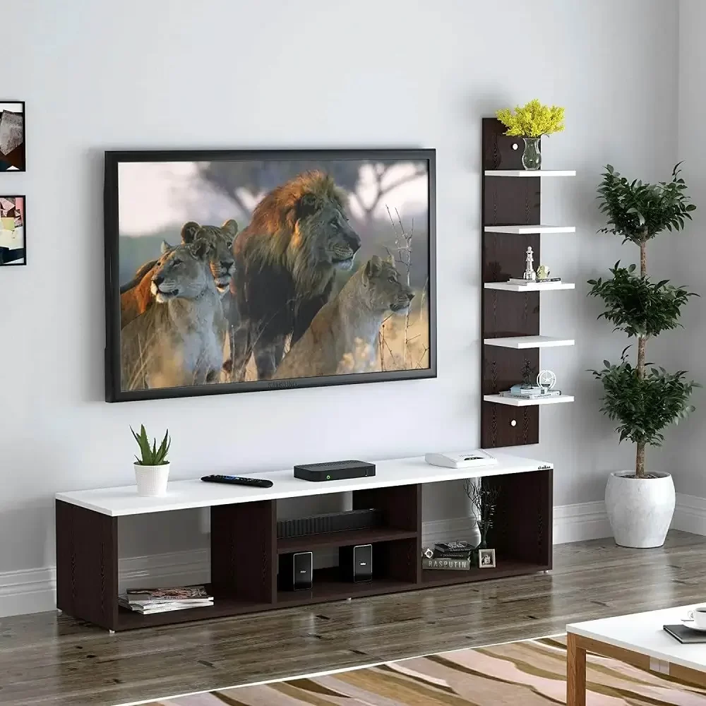Custom TV Rack